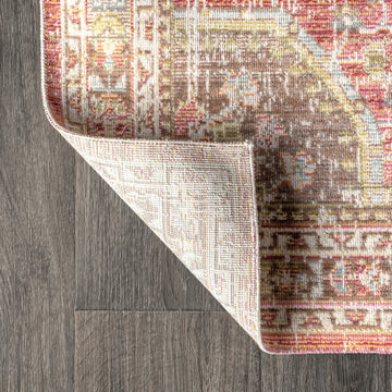 Petras Modern Ornate Medallion Area Rug